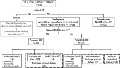 Impact of Pretransplant Renal Replacement Therapy on Clinical Outcome After Isolated Heart Transplantation